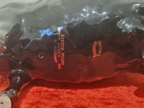 Beswick Cattle Family Black Figurines. Aberdeen Angus Bull, Cow Great Condition - Picture 5 of 7