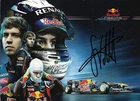Sebastian Vettel (1) AUTOMOBILSPORT/FORMEL 1