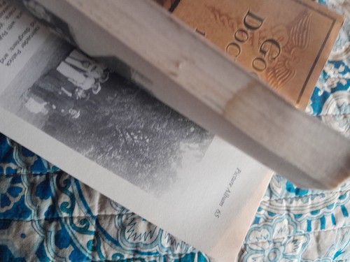 Good Old Doctor Mac 1856-1927 By Robert F McNamara Paperback READ - Imagen 6 de 8