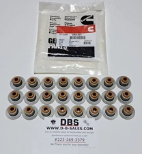 OEM Cummins Intake Exhaust Valve Stem Seals 24V 2003-2018 5.9 6.7L Turbo 3955393