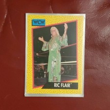 Impel WCW 1991 Ric Flair Wrestling Sports Trading Card #45