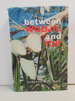 Between Wodjil and Tor by Barbara York 1967 1st Ed RARE HC
