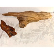 Set of 2 Natural Driftwood Rare Root Burl Sculpture