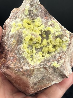 Yellow Sulfur Crystals on Quartz - Cerro de las Banderas, Durango, Mex.   854 g.