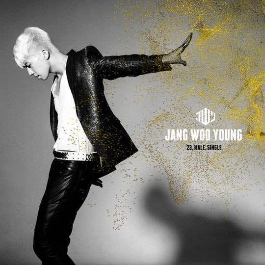 2PM JANG WOO YOUNG ウヨン MAKIKG BOOK 2PM JANG WOO YOUNG ウヨン MAKIKG BOOK JANG WOO YOUNG, JANG