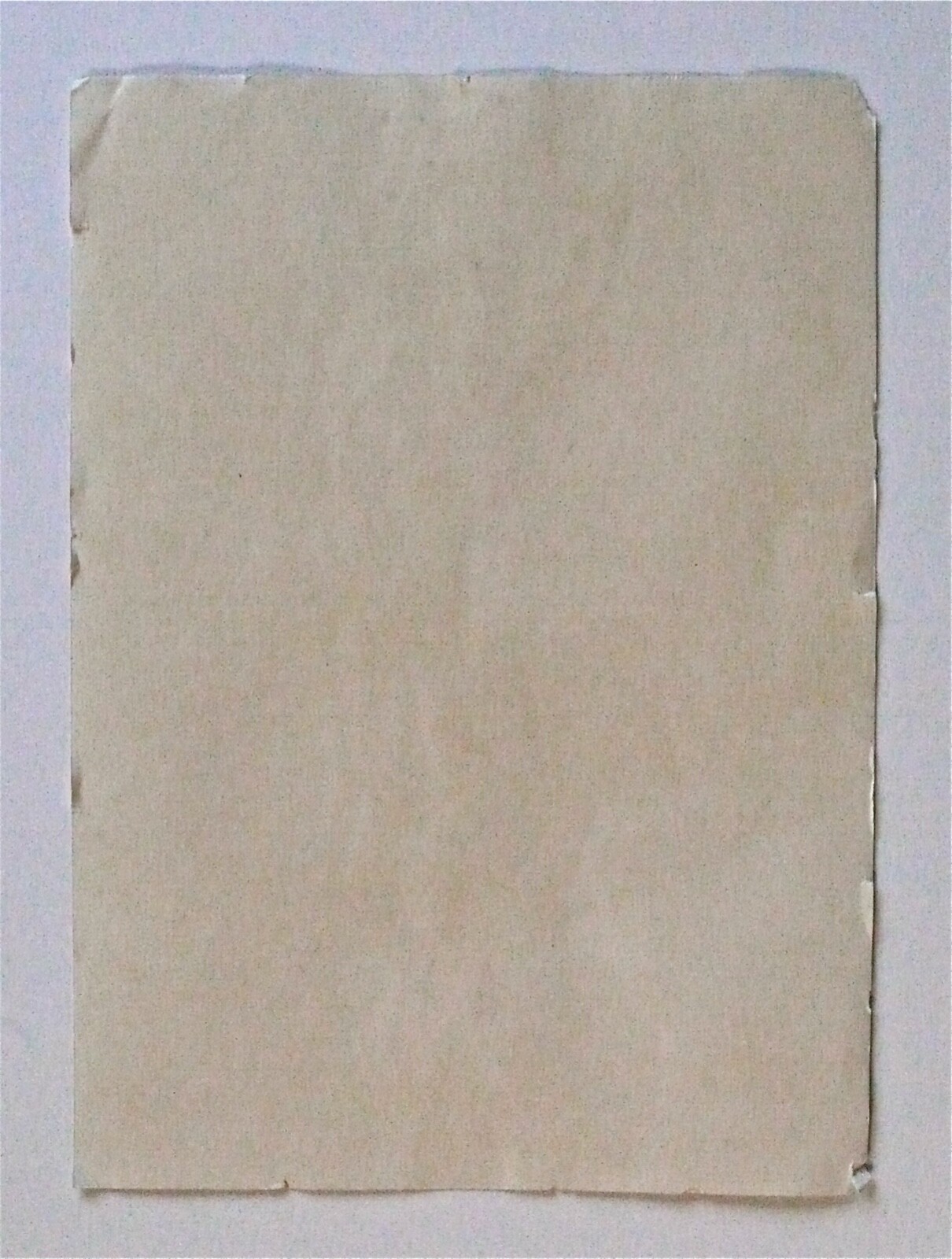 Picture 11 of 11