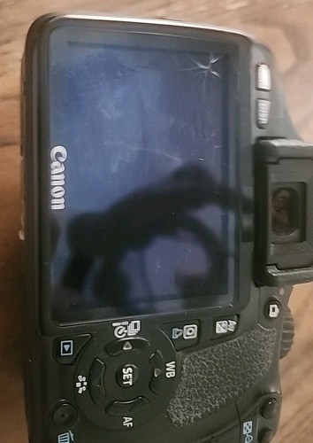 Canon EOS Rebel T2i fotocamera reflex digitale solo corpo con caricatore - TESTATA DS126271 leggere descrizione - Foto 6 di 12