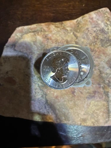 1oz Silver Maple Leaf Rounds .9999 Tube Of 20