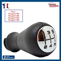 Knauf Geschwindigkeit- Nuckel FüR 106 206 306 406 605 Und Citroen C2 C3 C4 C5
