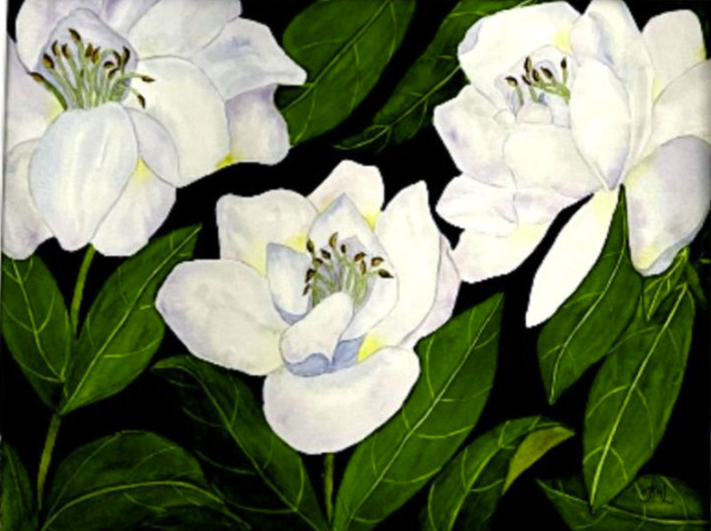PAINTING WATERCOLOR 11X14 & WHITE MAT 16X20 FLOWER GARDENIA GREEN ORIGINAL  ART