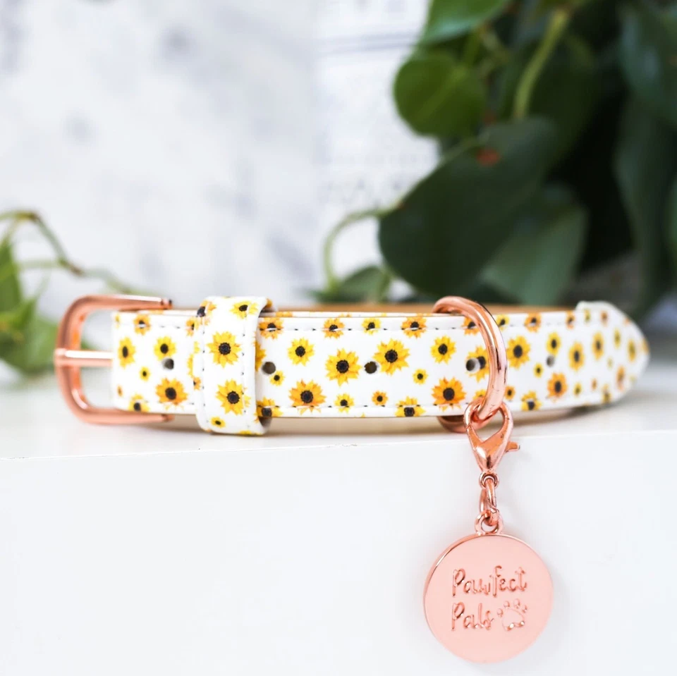 Sunflower Vegan Dog Collar PU Fake Leather Gold Buckle Hardware Puppy Matching - Image 3 of 4