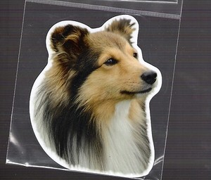 Sheltie 4 inch face magnet for car or anything metal     New