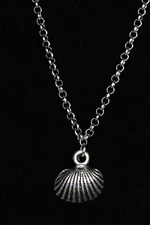 Shell Necklace Silver Pewter Charm 3/4" Pendant 3mm Stainless Chain 18" Ocean