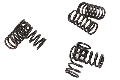 Kupplungsfedern für Kawasaki ZR 750 Zephyr ZRX 1200 ZX-7R ZX9R 6Stück EBC CSK038
