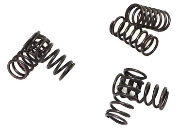 Ressorts pour Kawasaki ZR 750 Zéphyr ZRX 1200 ZX-7R ZX9R 6Stück EBC CSK038 - Photo 1/4
