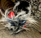 Vtg The Big Bad Wolf Busch Gardens Roller Coaster Plush Stuffed 10” — photo 2