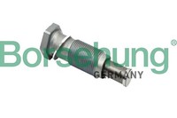 Neu - Borsehung B1T002 Spanner, Steuerkette FüR Audi Seat Skoda Vw