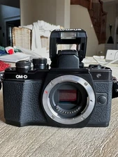 Olympus OM-D E-M10 Mark II Camera Shutter Count 951