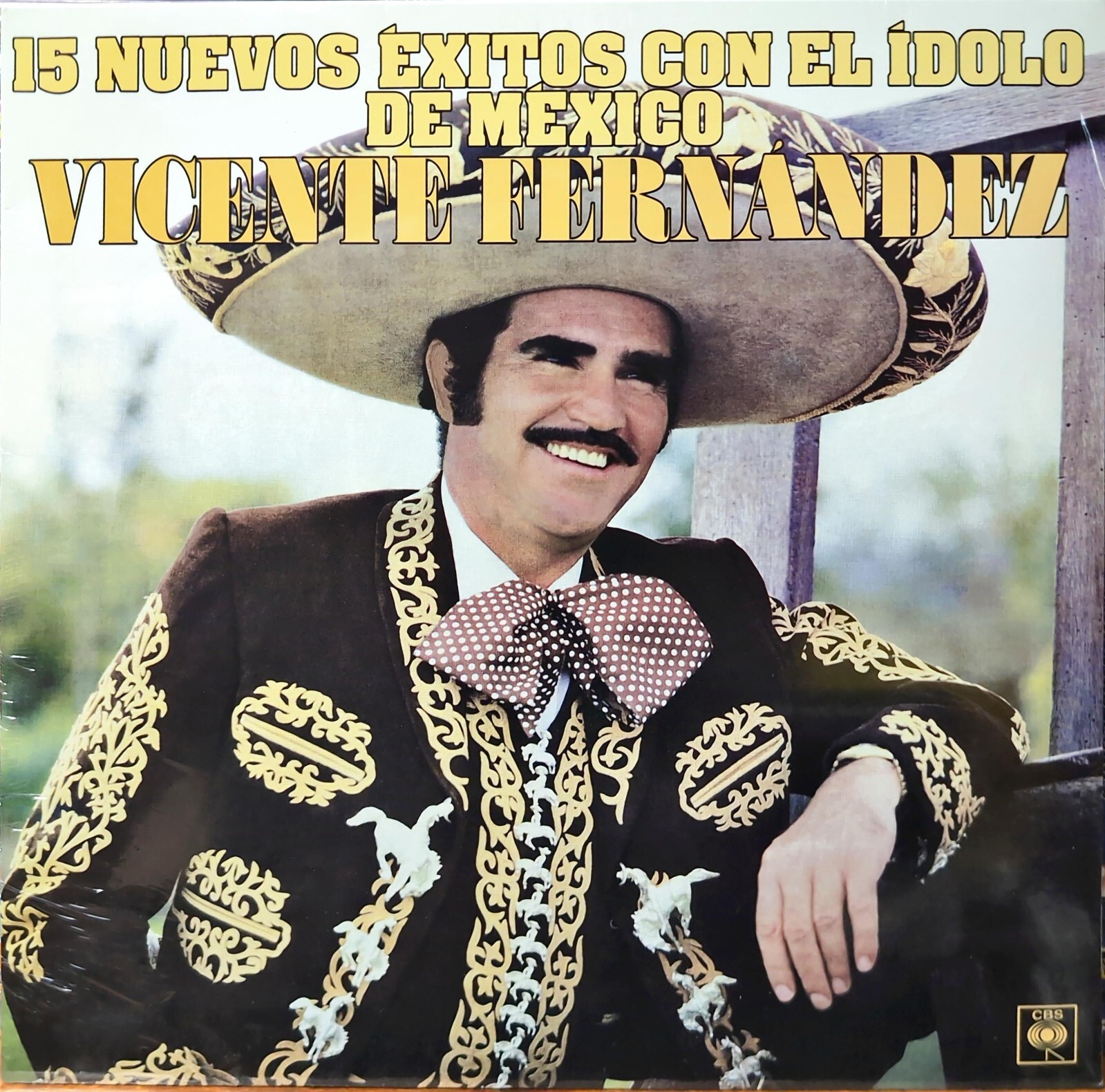 Vicente Fernández – 15 Nuevos Éxitos Con El Ídolo De México (2023, LP)