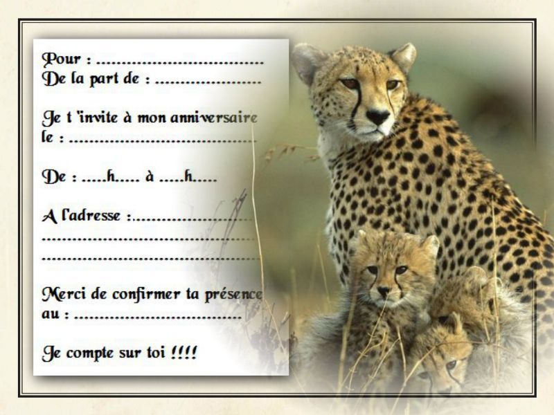 Jeu De 2 Mâchoires De Frein Avant EBC Pour Honda QR50 (1982-2003) - Qualité Professionnelle, Neuf