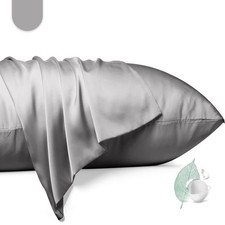 Best 100 Mulberry Silk Pillowcase 2 Pack Standard Size Pillow Cases for Hair and