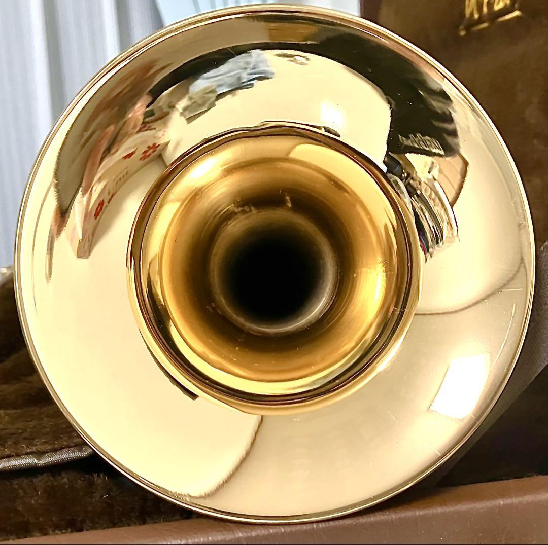 Weril Trumpet Excalibur E971, Natural Curve, High Quality | eBay Weril Trumpet Excalibur E971, Natural Curve, High Quality | eBay