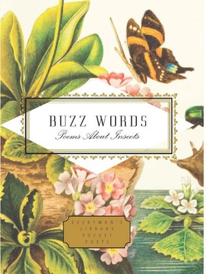 Buzz Words | Poems About Insects | Howard Schechter (u. a.) | Englisch | Buch