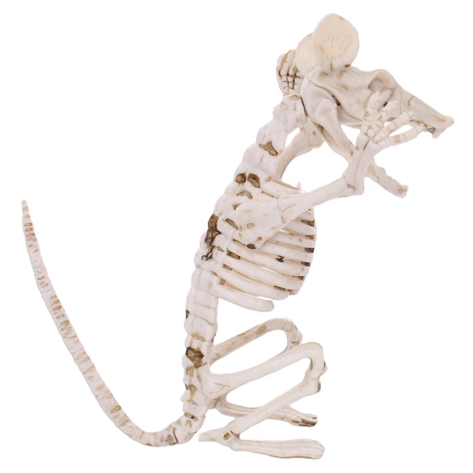 HUESOS DE ESQUELETO DE RATA de horror espeluznante de 7 pulgadas posable economía Halloween utilería decoración Foto 2 de 4