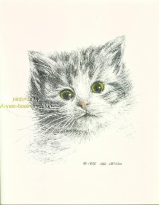 #54 tabby white  kitten *  cat art print  *  pen & ink drawing by Jan Jellins
