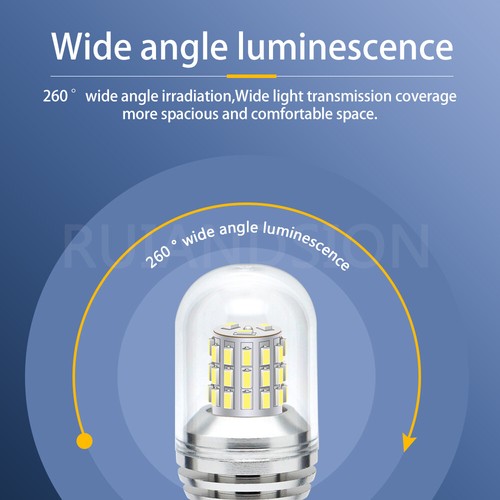 Ruiandsion Screw Base E14 LED Bulb Pendant Light DC 10-30V 1000lm White - Picture 4 of 6