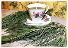WHITE PINE NEEDLE Loose Leaf Tea Oils 1/4 Lb Bundle Freshly Harvested PA