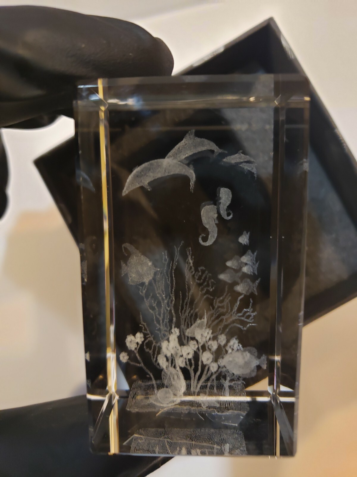 CRYSTAL 3-D LASER ETCHED GLASS CUBE dolphins seahorse ocean scene