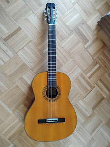 Vengura 6 string guitar