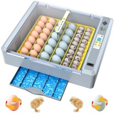 36 Eggs Incubator for Hatching Chicken/Goose/Quail/Duck/Turkey Eggs, 360  Vie...