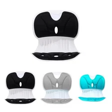 Ergonomic Lumbar Support Posture Correction Chair and Relief of Back Pain, Tw...