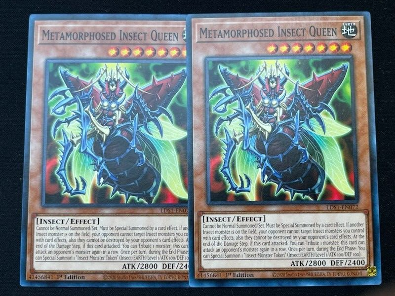 yugioh metamorphosed insect queen deck Complete Custom for Yu-Gi-Oh! Deck] Fun Insect Deck :