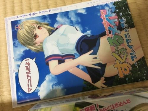 ILLUSION School Mate 1 first Limited Edition Japanese PC game girl Windows Japan - Picture 6 of 6