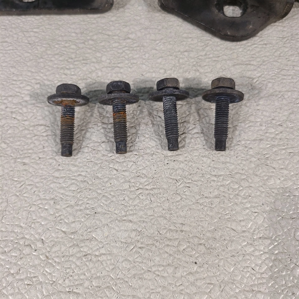 Juego de bisagras de puerta de conductor Corvette C5 97-04 par superior inferior OEM AA7420 Foto 2 de 4