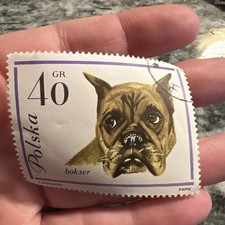 Boxer dog Poland 1963  stamp A185
