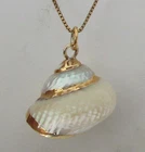 Vintage Gilded Sea Shell Pendant Sterling Silver Chain Necklace