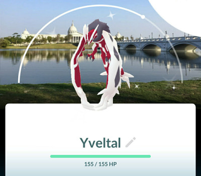 Shiny Yveltal Background Tainan - GoTour Kalos - TRADE - Read Description