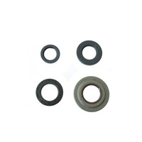 Serie Parolio Motor Piaggio FüR Piaggio Vespa 125 GTR (VNL2T) 68-78 2T