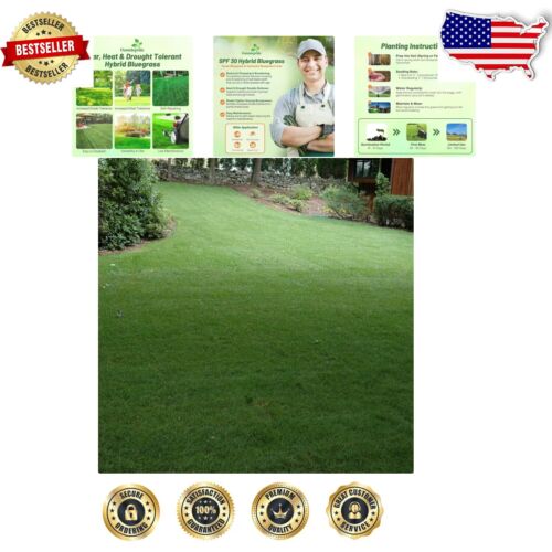 Texas & Kentucky Bluegrass Seed Mix - 10 lbs. Low Maintenance Lawn Solution