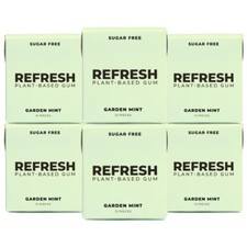 Plant Based Chewing Gum Sugar Free Mint Raspberry Variety Pack Non GMO 6 Count