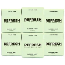 Plant Based Chewing Gum Sugar Free Mint Raspberry Variety Pack Non GMO 6 Count