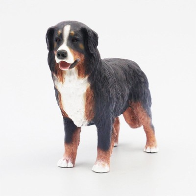 bernese mountain dog miniature