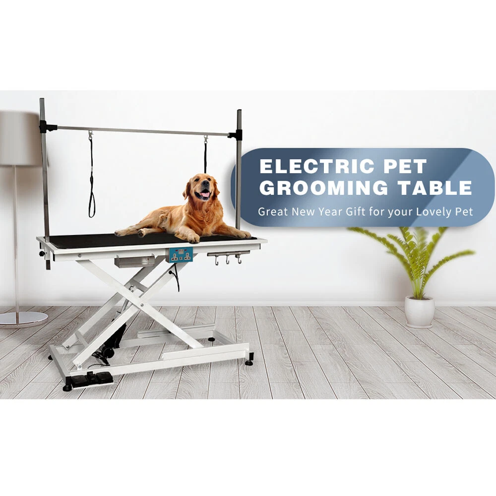 Electric Lifting Dog Grooming Tables Hydraulic Grooming, 42 OFF