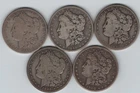Lot of 5 O-Mint Morgan Dollars, Circulated