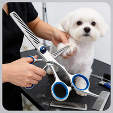 6.6" Hair Dressing Scissors Barber Thinning Thinner Shears - Tension Adjustable