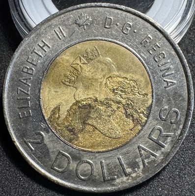 Ultra Extremely Rare Error Toonie 2000 Family Of Cubs. | eBay